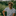 Favicon van postn.nl