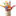Favicon van praktijkalleskids.nl
