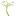 Favicon van praktijkbbuize.nl