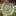 Favicon van praktijktara.nl