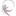 Favicon van praktijktenhave.nl