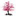 Favicon van praktijkyangsheng.nl