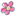 Favicon van praktischepsychologie.nl
