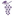 Favicon van pralivino.com