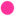 Favicon van prappers.com