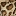 Favicon van praslin.nl
