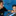 Favicon van privezwemschool.nl