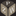 Favicon van projectservicezuidwest.nl