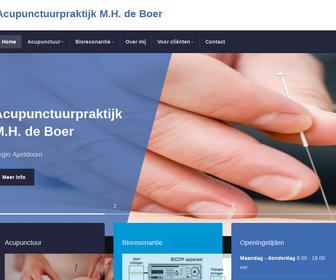 Acupunctuurpraktijk M.H. de Boer