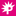 Favicon van punkmedia.nl