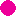 Favicon van puntnet.nl
