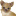 Favicon voor puppytoys.nl