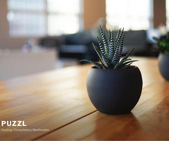 Puzzl Hosting, Consultancy & Multimedia