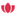 Favicon van pvanduijvenvoorde.nl