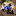 Favicon van quadcentrum.nl