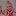 Favicon van quinsparty.nl