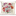 Favicon van radiels.com