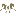 Favicon van randhoeve.nl