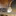 Favicon van restauratieaarendonk.nl