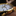 Favicon van redwatches.nl