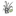 Favicon van reinerinkbloemen.nl