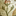 Favicon van relatietherapiegorinchem.nl