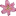 Favicon van renatevanderveen.nl