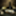 Favicon van reneoudshoorn.nl