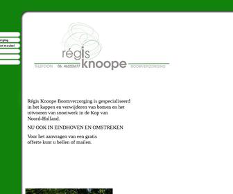 http://www.regisknoope.nl