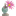 Favicon van rheingoldexotics.com