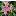 Favicon van rhiannonstattooart.com