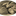 Favicon van richardbroodbezorging.nl