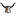 Favicon van riemen.nl