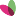 Favicon van rijnbeek.com