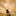 Favicon van robkanters.com