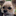 Favicon van robprochnow.com