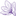 Favicon van rocosaffron.com