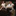 Favicon van roelanddebruynfotografie.nl
