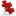 Favicon van roodadvies.com