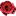 Favicon van rooskleurigtaalent.nl