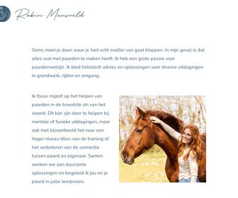 http://www.robinmansveld.nl