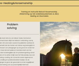 https://www.rooshealinghorsemanship.com