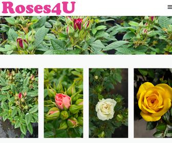 http://www.roses4u.nl