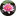 Favicon van rudracare.nl