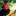 Favicon van ruudpost.com