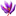 Favicon van saffron-store.com
