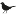 Favicon van sailingblackbird.nl