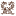 Favicon van sainthill.nl
