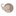 Favicon van salonbhappy.nl