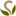 Favicon van salonthesolution.nl
